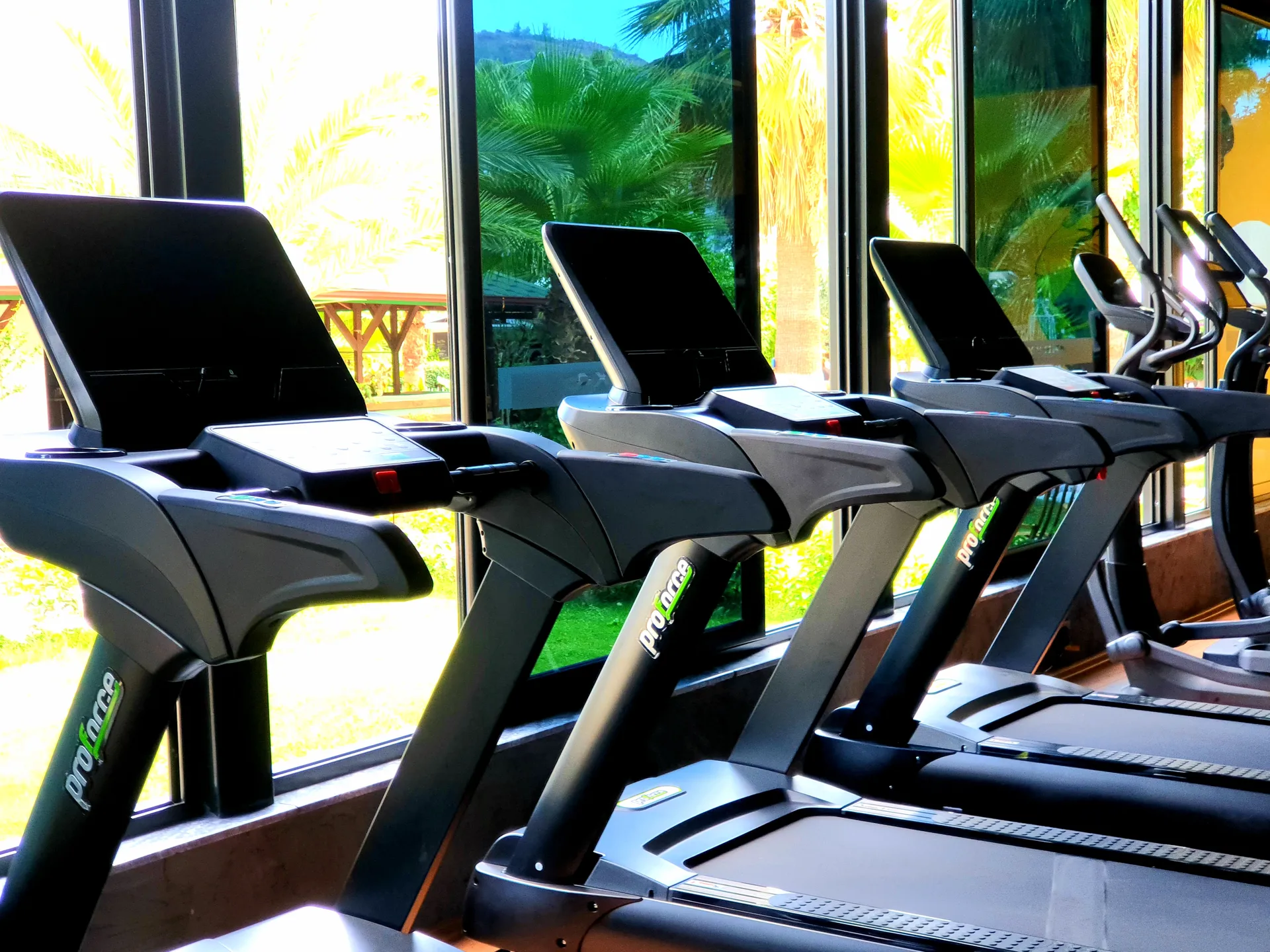 Treadmills overlooking greenery (Archive photo, 2021)