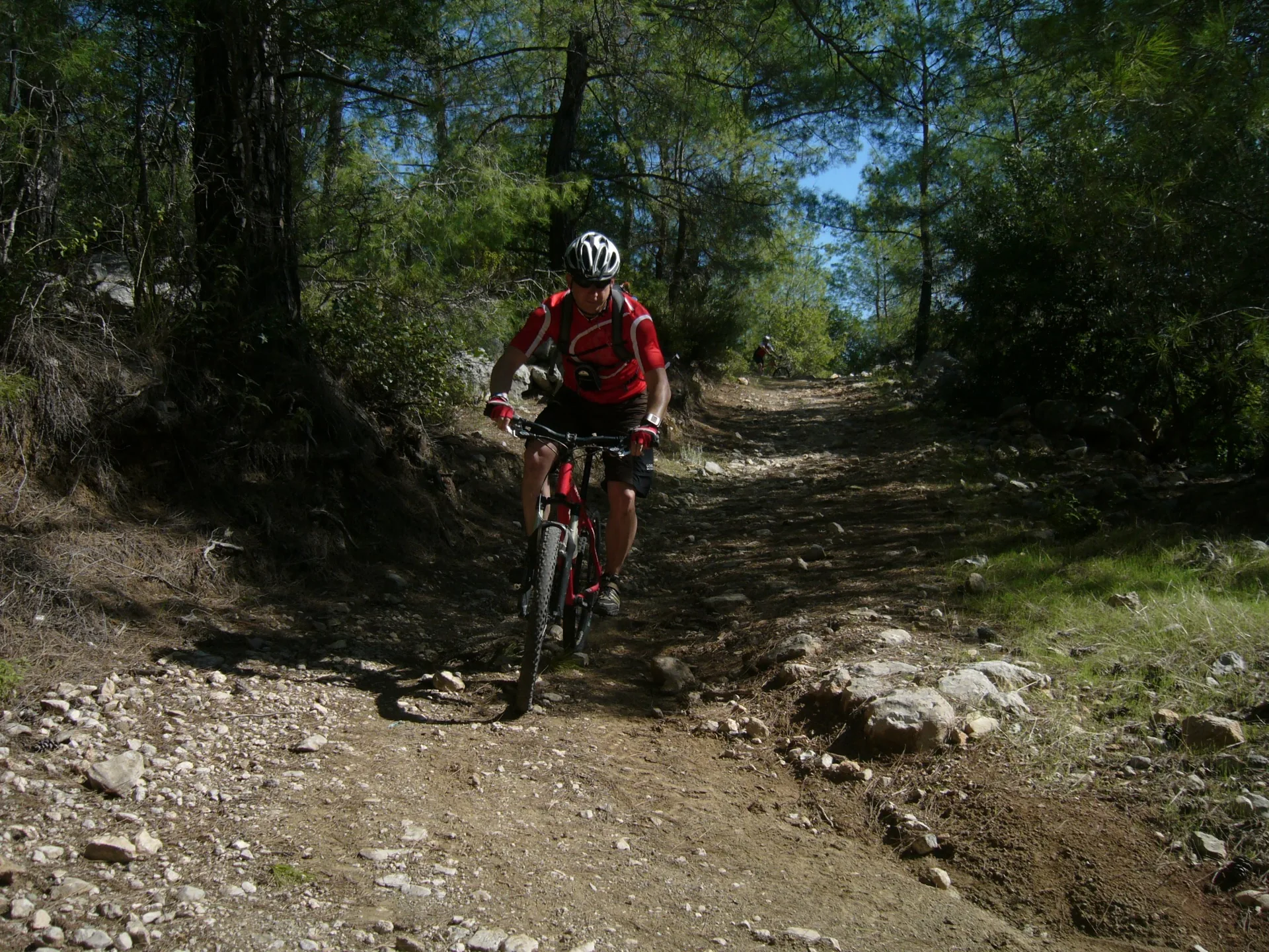 Ciclista de montaña en un sendero forestal