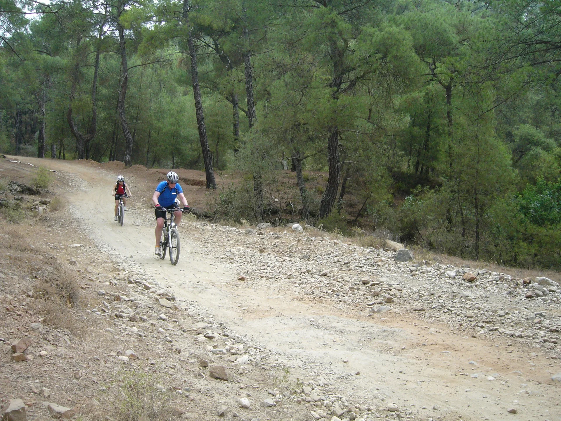Dos ciclistas en un camino forestal