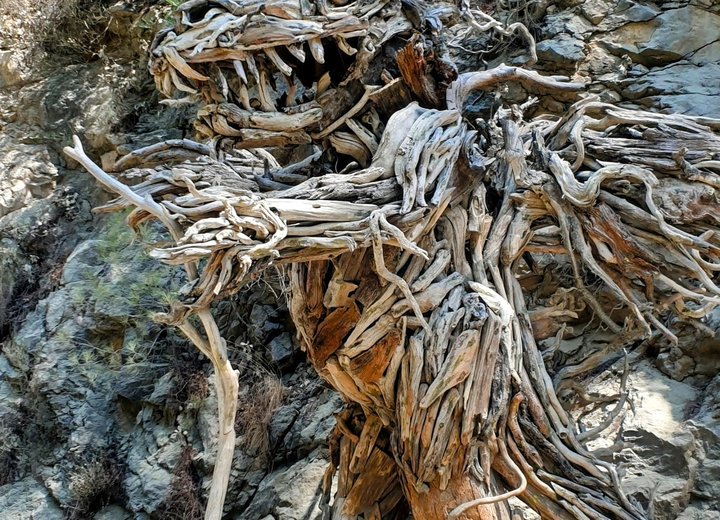Detail of a figure made from pieces of wood in front of rocks