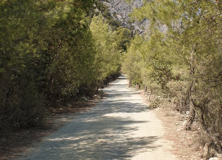 A bright path between trees with a view of the mountains in Göynük Canyon
