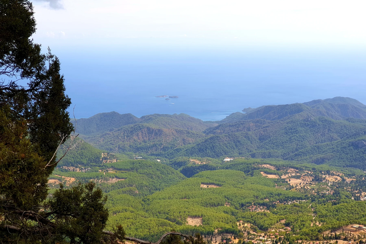 View over forested mountain slopes towards the sea