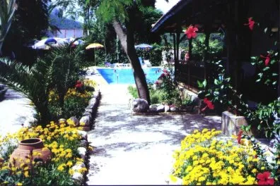 Historical garden path with flowers, palms and a view of the pool.