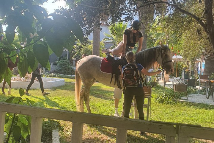A Touch of Hilal Ranch at the Erendiz Hotel!