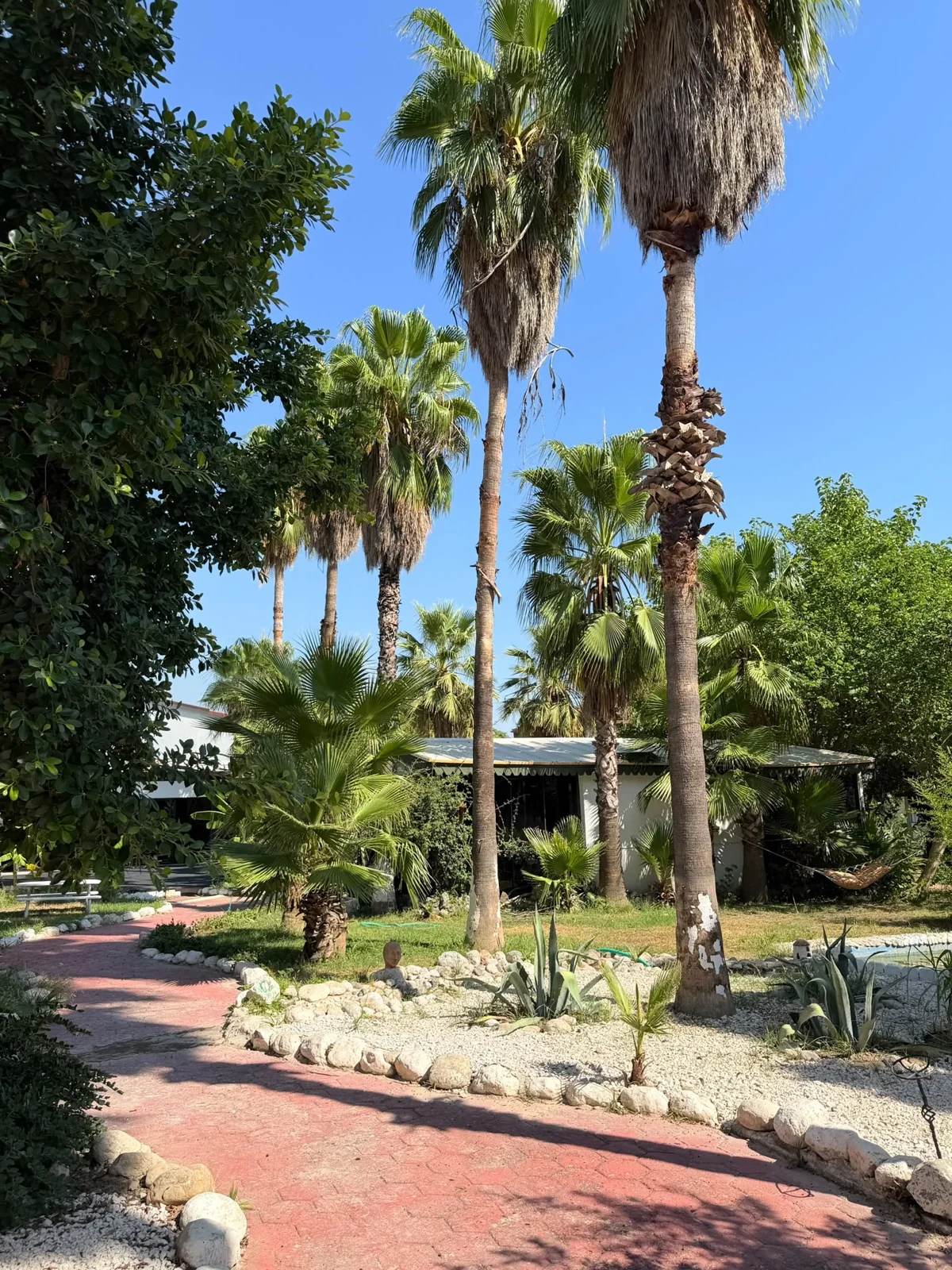 Jardín verde del Erendiz Garden Hotel en Kemer