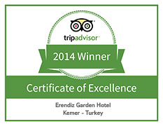 TripAdvisor-Award