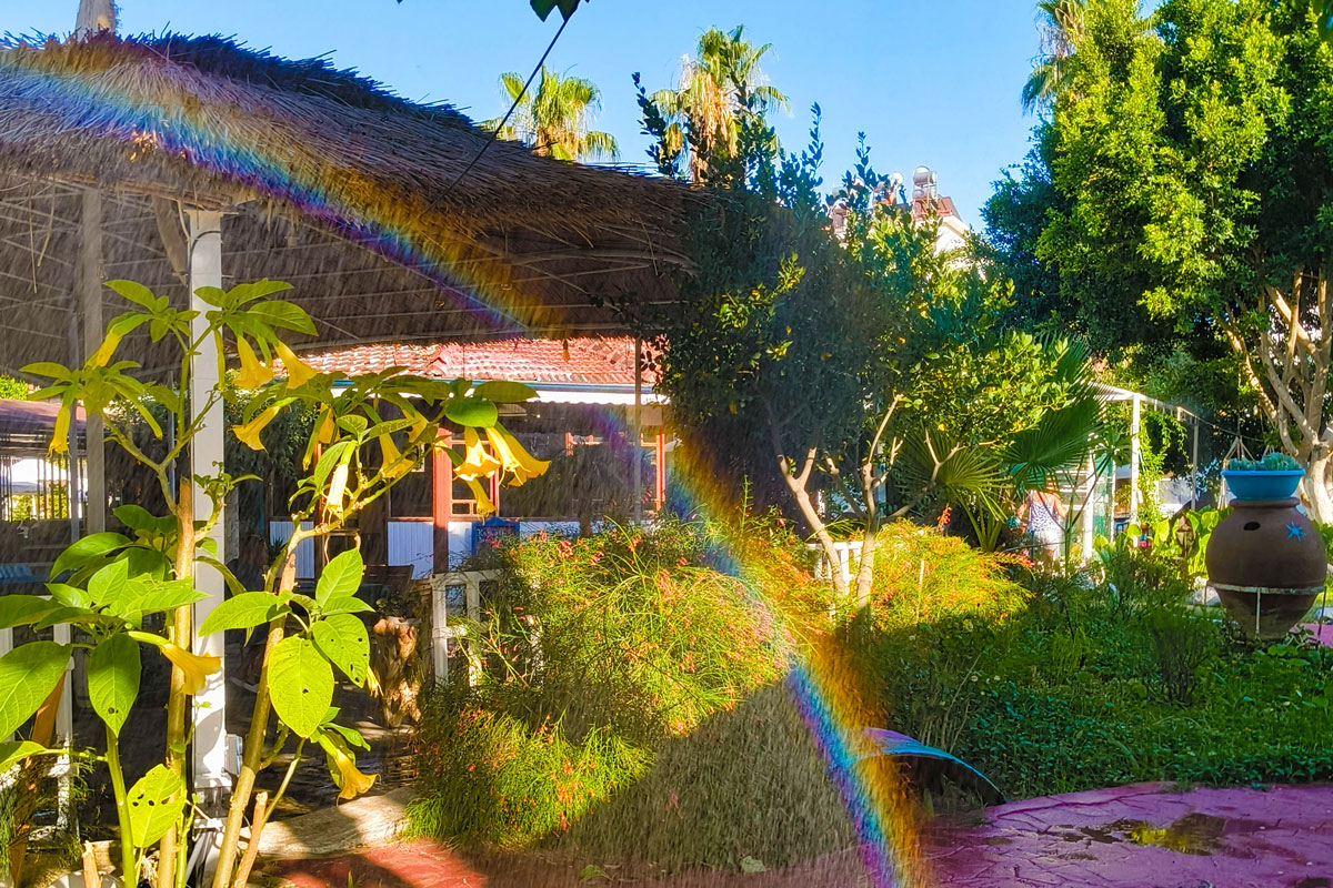 rainbow-in-the-garden Vibrant garden with lush greenery and tropical plants, featuring a rainbow effect created by sunlight through misting water. A thatched-roof pergola, terracotta pot, and blooming flowers enhance the serene atmosphere under a clear blue sky.