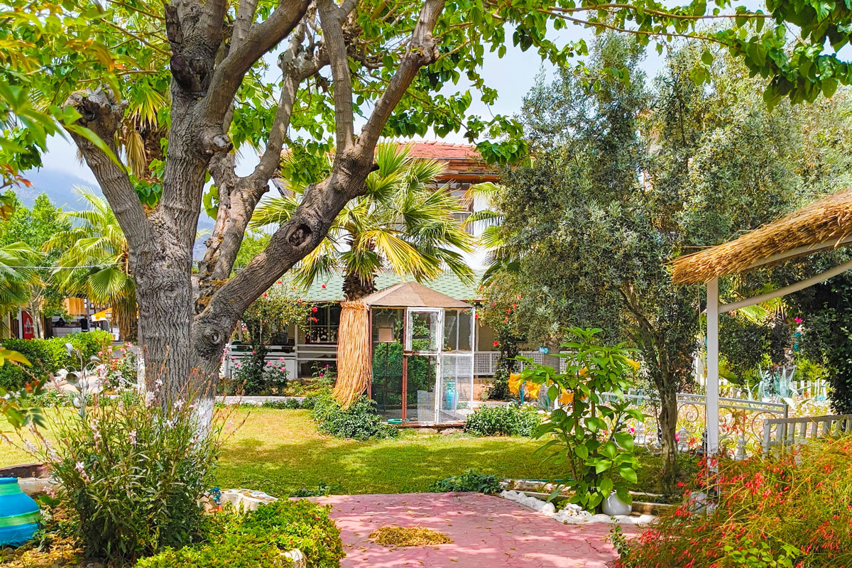 trees-and-hut-garden